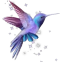 স্টিকার