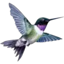 স্টিকার