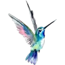 স্টিকার