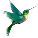 স্টিকার