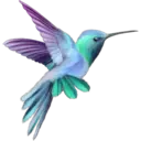 স্টিকার