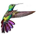 স্টিকার