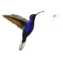 স্টিকার