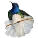 স্টিকার