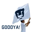 Կպչուն պիտակ