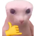 స్టికర్