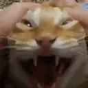 สติกเกอร์