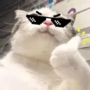 สติกเกอร์