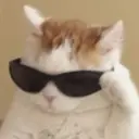 สติกเกอร์