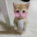 สติกเกอร์