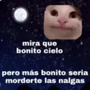 Կպչուն պիտակ