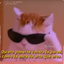 Կպչուն պիտակ