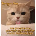 Կպչուն պիտակ