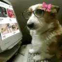 ஸ்டிக்கர்