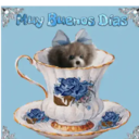 สติกเกอร์