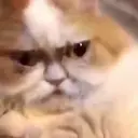 ස්ටිකර්