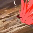 สติกเกอร์