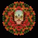 ස්ටිකර්