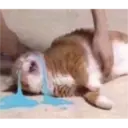 สติกเกอร์