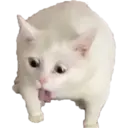 สติกเกอร์