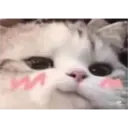 สติกเกอร์