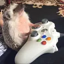 ஸ்டிக்கர்