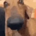 స్టికర్