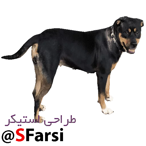 ស្ទីកเกอร์