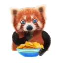 ஸ்டிக்கர்