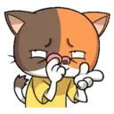 Կպչուն պիտակ