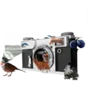 స్టికర్