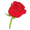 Կպչուն պիտակ