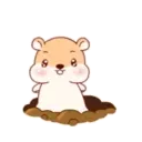 Կպչուն պիտակ