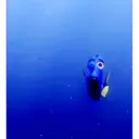 Կպչուն պիտակ