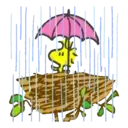 স্টিকার