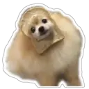 ஸ்டிக்கர்