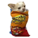 ஸ்டிக்கர்