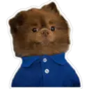 ஸ்டிக்கர்