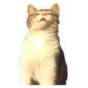 ஸ்டிக்கர்