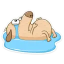 ស្ទីកเกอร์