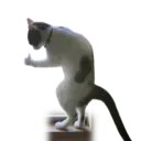 ស្ទីកเกอร์