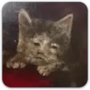 ஸ்டிக்கர்