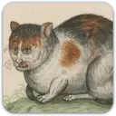 ஸ்டிக்கர்