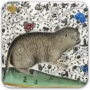 ஸ்டிக்கர்