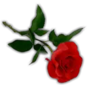 Կպչուն պիտակ