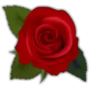 Կպչուն պիտակ