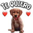 స్టికర్