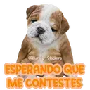 స్టికర్