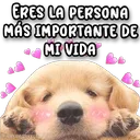 స్టికర్