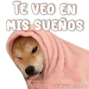 స్టికర్